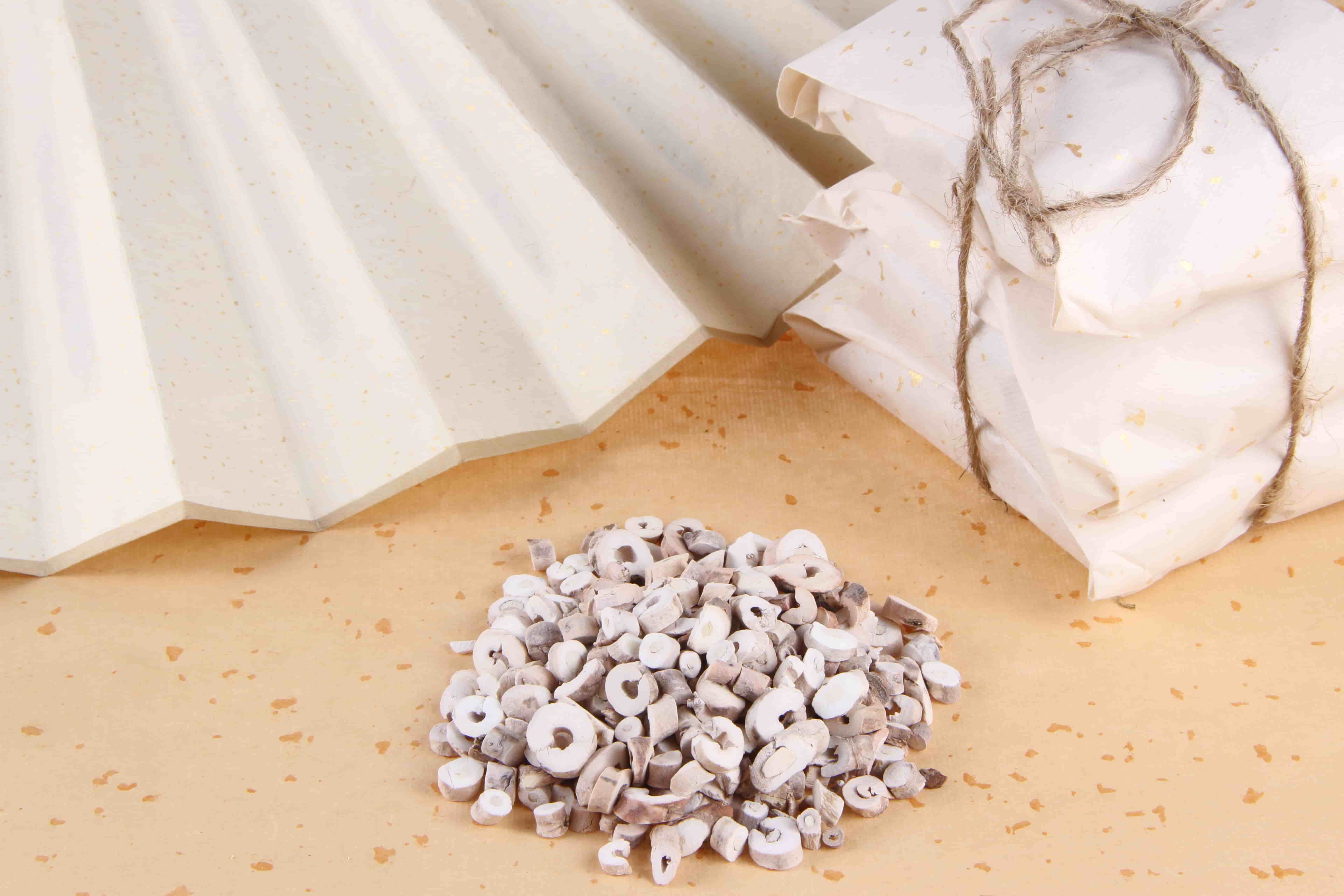 小细胞肺癌背部痛与转移的关系及中医治疗优势