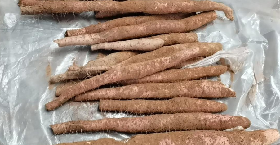 癌症患者多吃这10种食物，增强免疫力，扶正抗癌