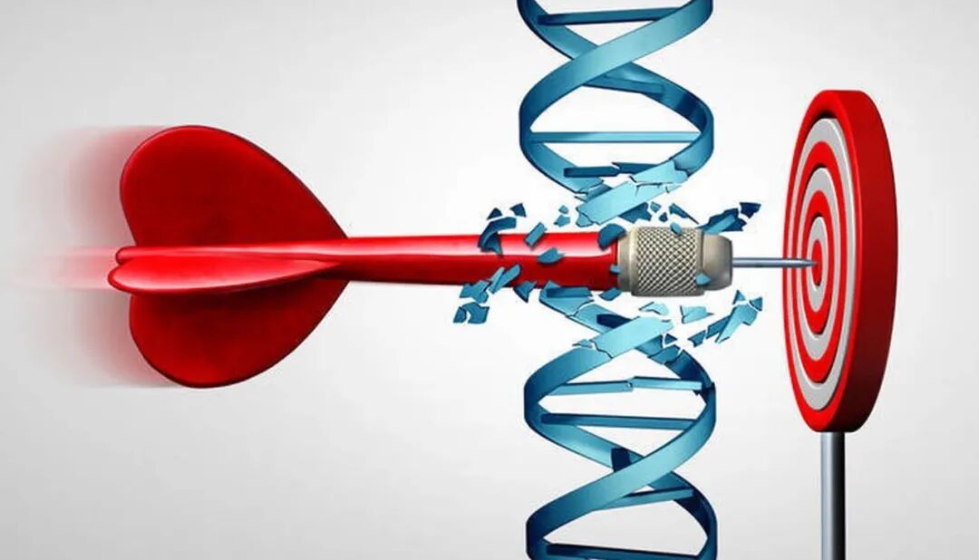 李忠教授解答：化疗口服药VS静脉注射，哪个伤害小？化疗后如何保护肝脏？