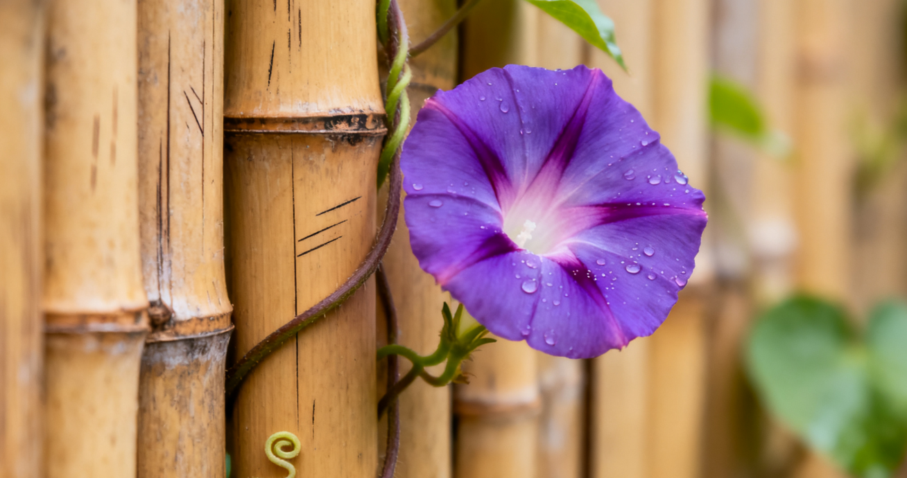 什么是“带瘤生存”？李忠教授：做到这4点你也可以！