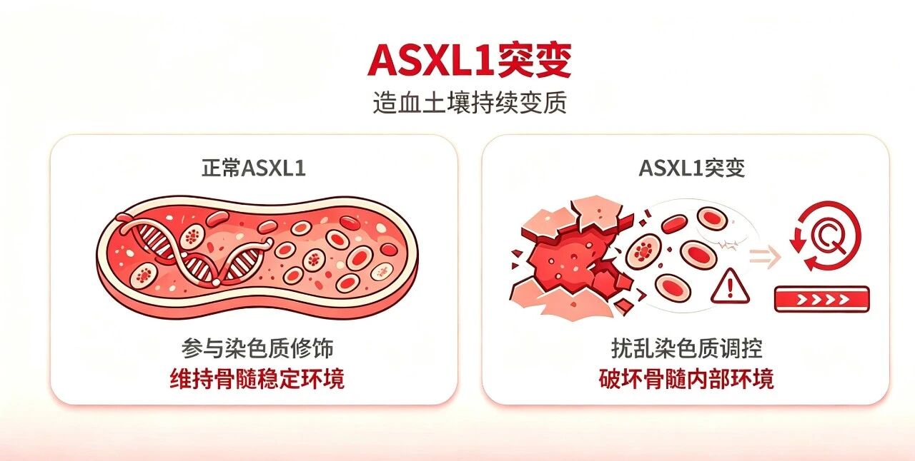 7.27李忠1-4.jpg